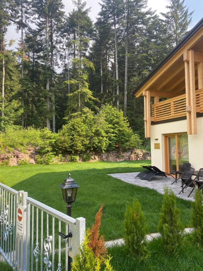 Chalet Relax Molveno E Andalo Dolomiti Villa Exterior photo